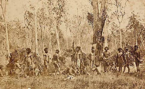 Some of Lismore’s original inhabitants. Some of Lismore’s original inhabitants.